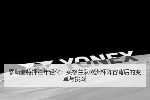 suo-si-gai-te-ya-zhu-nian-qing-hua-ying-ge-lan-dui-ou-zhou-bei-zhen-rong-bei-hou-de-bian-ge-yu-tiao-zhan-2-286.jpg