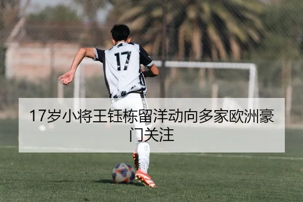 sui-xiao-jiang-wang-yu-dong-liu-yang-dong-xiang-duo-jia-ou-zhou-hao-men-guan-zhu-2-971.jpg