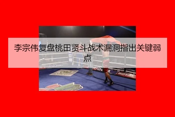 li-zong-wei-fu-pan-tao-tian-xian-dou-zhan-shu-lou-dong-zhi-chu-guan-jian-ruo-dian-1-945.jpg