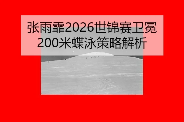 zhang-yu-fei-shi-jin-sai-wei-mian-mi-die-yong-ce-lve-jie-xi-2-970.jpg